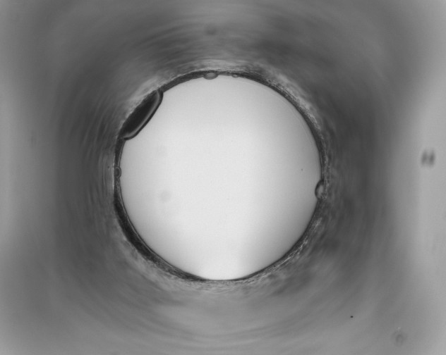 X0000090710011200708101515