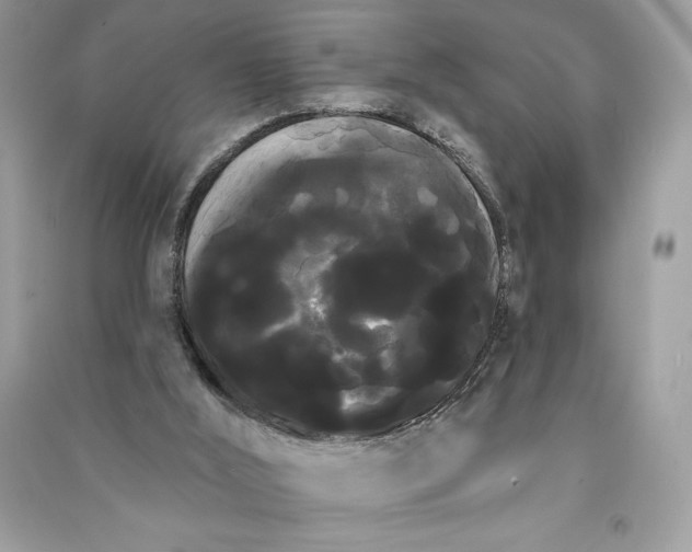 X0000090710012200708101515