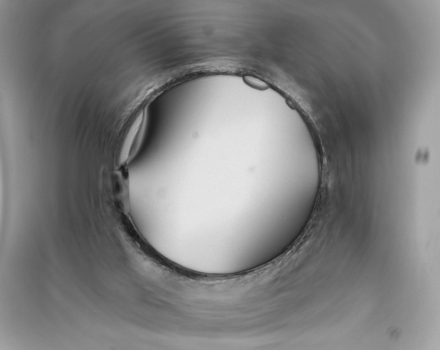 X0000090710013200708101515