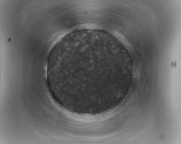 X0000090710014200708101515