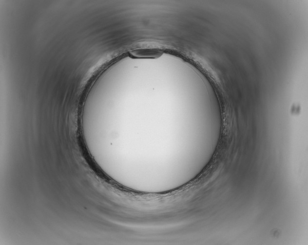 X0000090710015200708101515