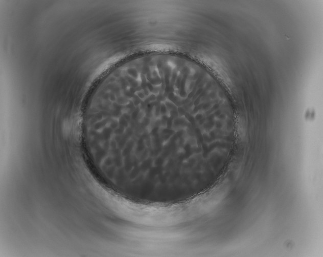 X0000090710016200708101515