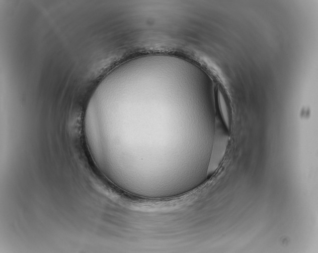 X0000090710017200708101515