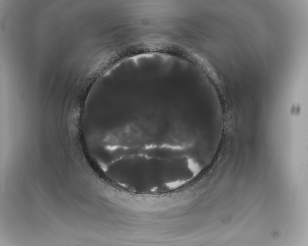 X0000090710018200708101515