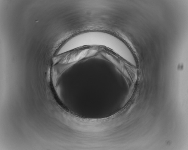 X0000090710019200708101515