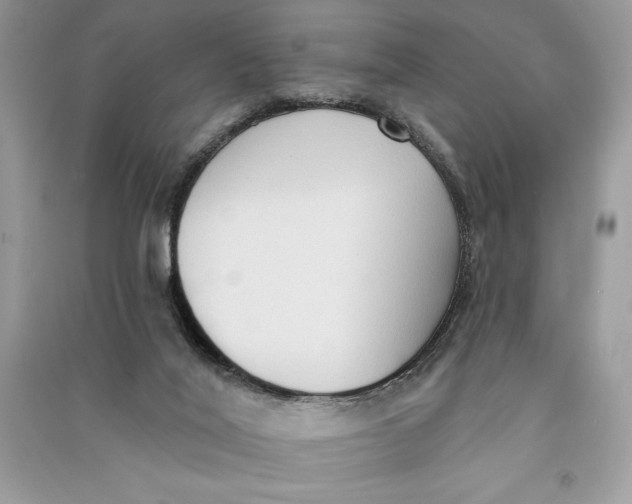 X0000090710020200708101515