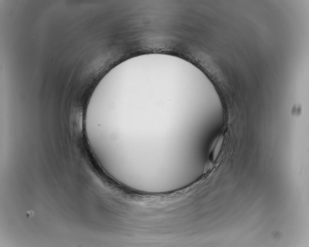 X0000090710021200708101515