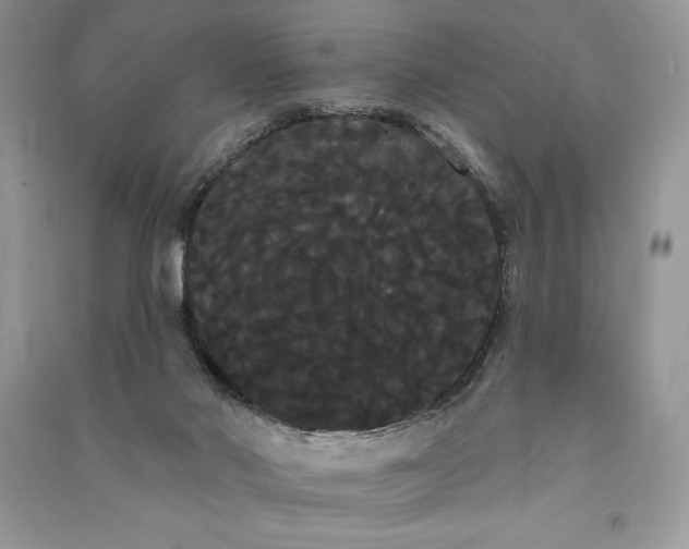 X0000090710022200708101515