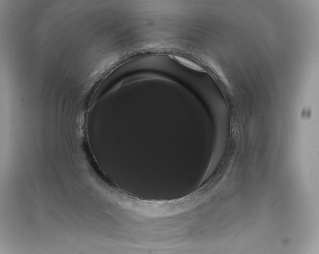 X0000090710023200708101515