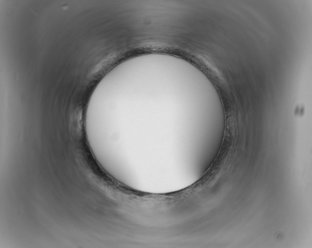 X0000090710024200708101515