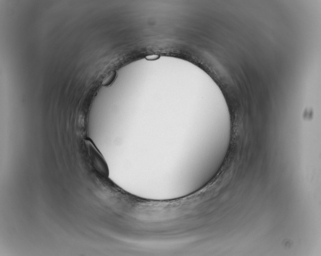 X0000090710025200708101515