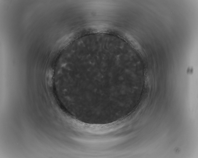 X0000090710026200708101515