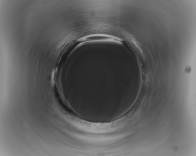 X0000090710027200708101515