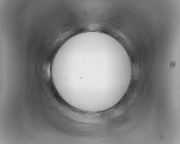 X0000090710028200708101515