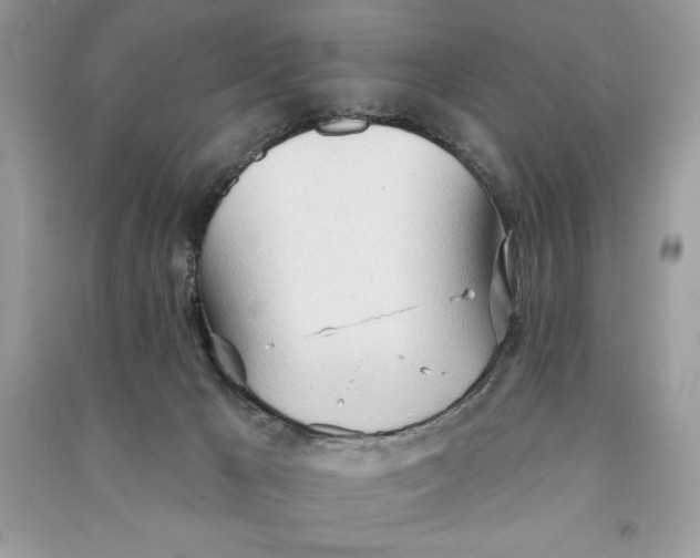 X0000090710029200708101515