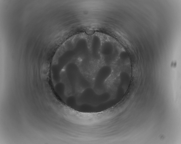 X0000090710030200708101515