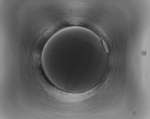 X0000090710031200708101515