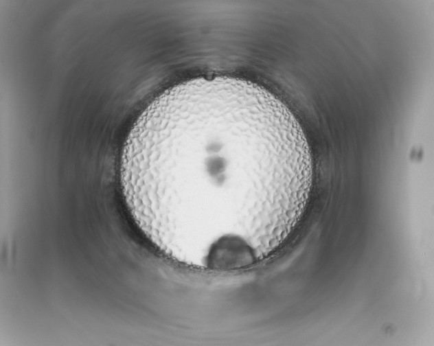 X0000090710032200708101515