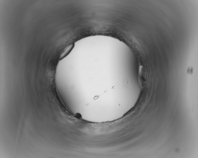 X0000090710033200708101515