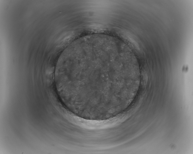 X0000090710034200708101515