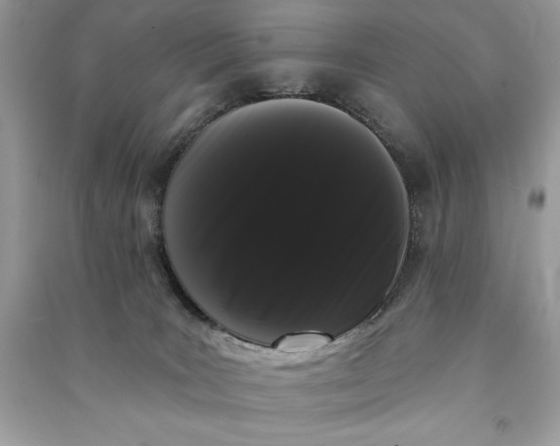 X0000090710035200708101515