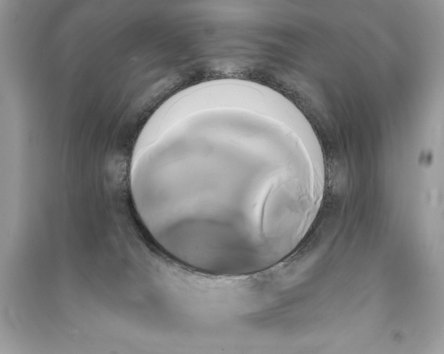 X0000090710036200708101515