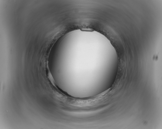 X0000090710037200708101515