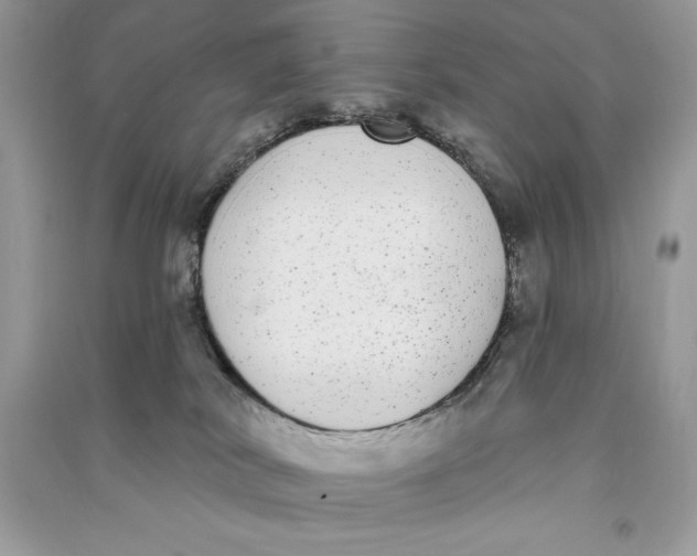 X0000090710038200708101515