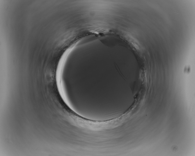 X0000090710039200708101515