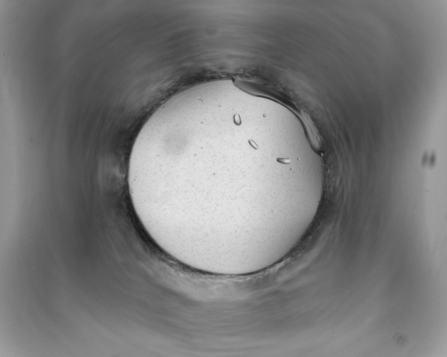 X0000090710040200708101515