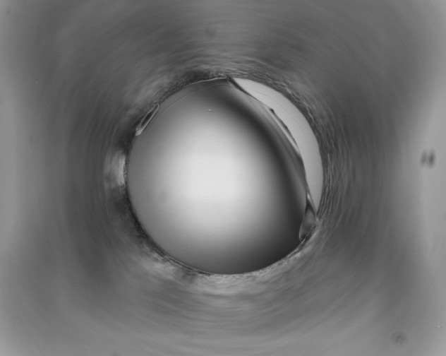 X0000090710041200708101515