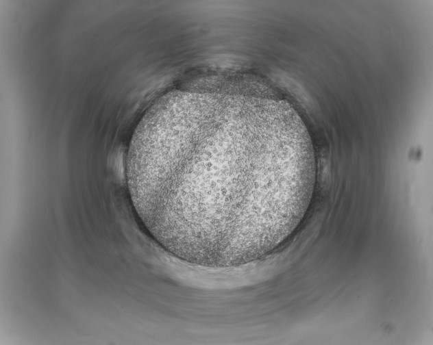 X0000090710042200708101515