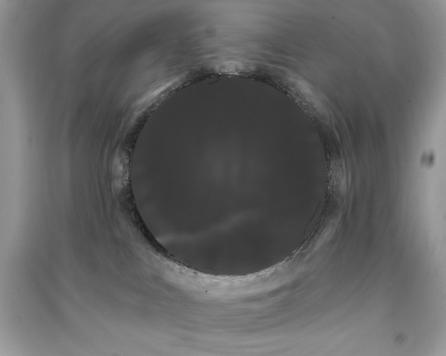 X0000090710043200708101515