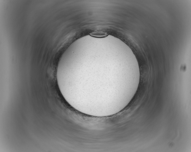 X0000090710044200708101515