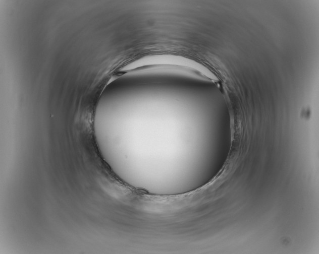 X0000090710045200708101515