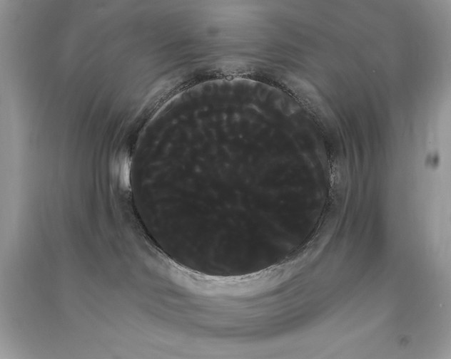 X0000090710046200708101515