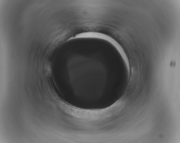 X0000090710048200708101515