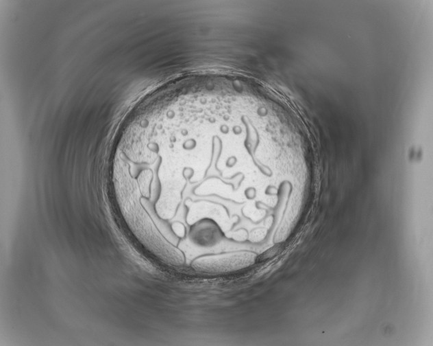 X0000090710049200708101514