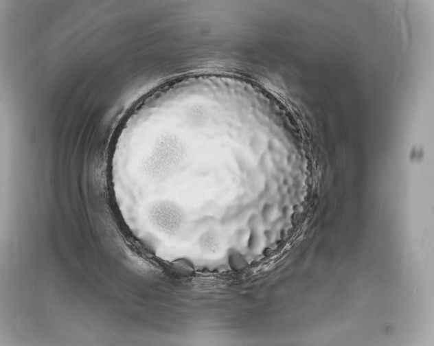 X0000090710050200708101514