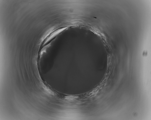 X0000090710051200708101514