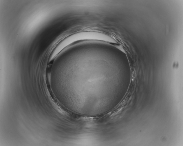 X0000090710052200708101514