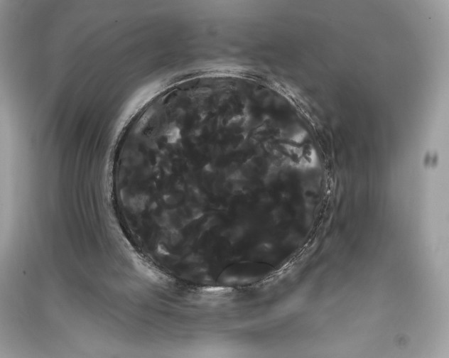 X0000090710053200708101514