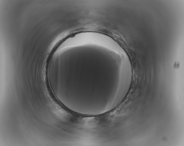 X0000090710054200708101514