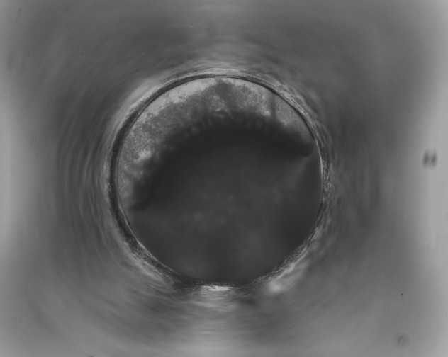 X0000090710055200708101514