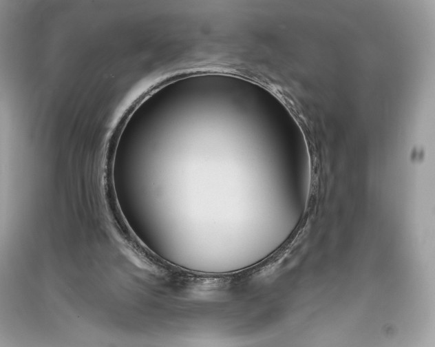 X0000090710056200708101514