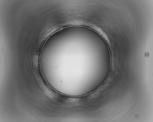 X0000090710057200708101514