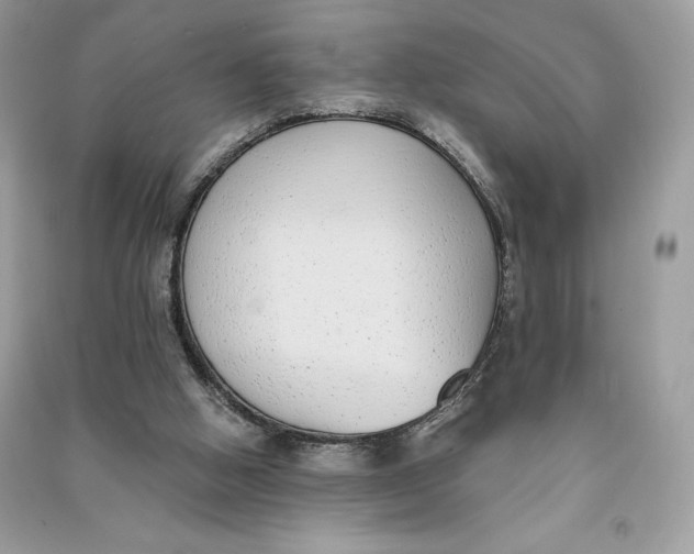 X0000090710058200708101514