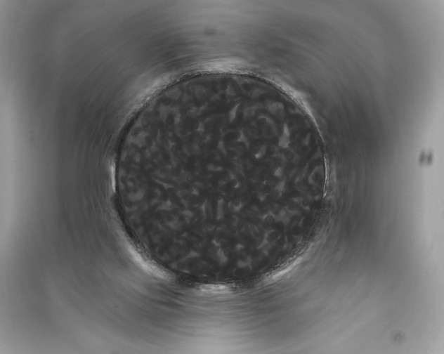 X0000090710061200708101514