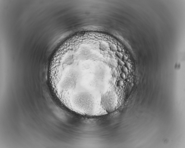 X0000090710062200708101514