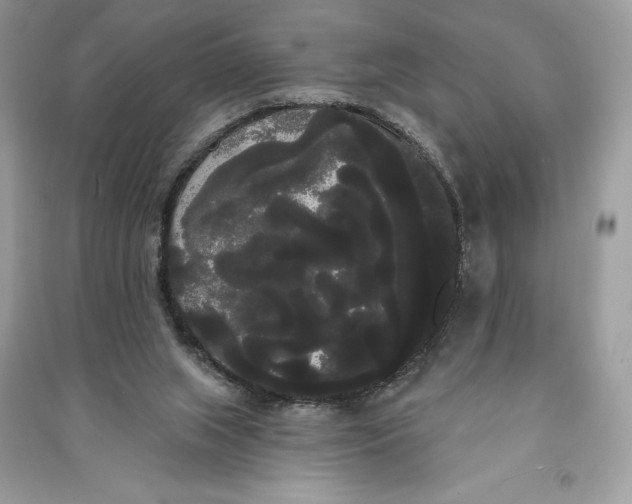 X0000090710063200708101514